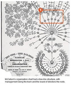 mccallums-orgchart-1