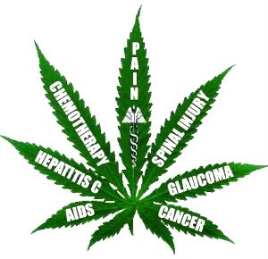 MedicalCannabis