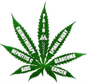 Understanding Medical Cannabis – 1. Let The People Grow (They Do Anyway) 2. 150,000 Full-Time Marijuana Jobs in the U.S., a 22% Increase from Last Year 3. Legalizing Weed Has Done What $1,000,000,000,000 and a 40 Year Drug War Couldn’t